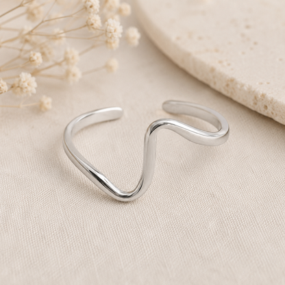 Ring Welle